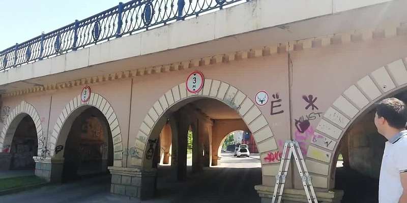 Рисковать не стоит: в Орле под «мостом глупости» появился олень