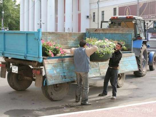 Орловский МУП «Зеленстрой» может быть ликвидирован