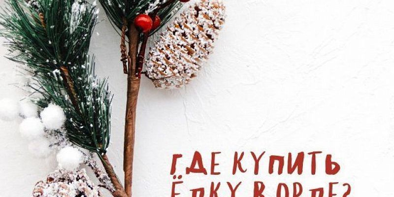 Ёлочные базары заработают во всех районах Орла 