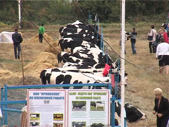 Лучшие Рога и копыта со всей Орловской области! 