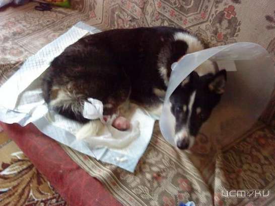 Пожалуйста, помогите !  Пожалуйста, помогите !