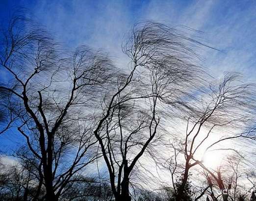 Сегодня орловчан ждет ветреный день