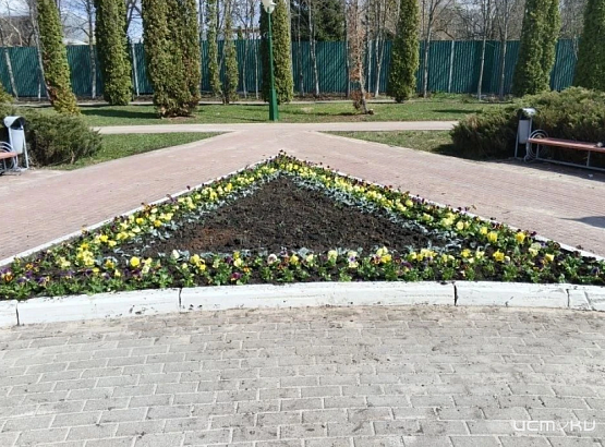 Не днях около 2 тыс. виол и цинерарий высадили на клумбе у мемориала воинам-интернационалистам