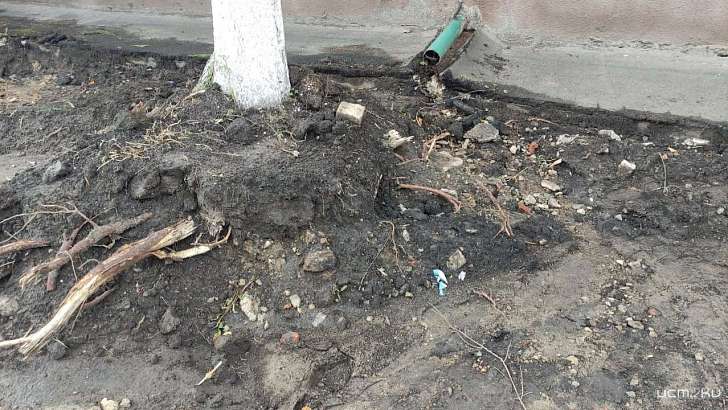 При ремонте улицы Пионерской в Орле повреждают здоровые деревья