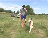 Новости за 90 секунд: Экс-сотрудница "Истоков" снялась для мужского журнала "Максим", со здания мэрии украли флаг, а Потомского попросили установить в...