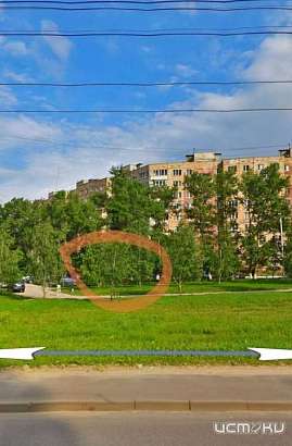 В Орле на прохожего напала агрессивная собака