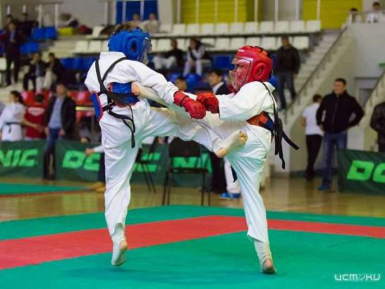 Орел примет Чемпионат и Первенство мира по всестилевому карате