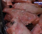 Рыбу нужно есть