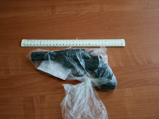 Новости за 90 секунд: на границе задержан мужчина с огнестрельным оружием, в деле братьев Петшиков новые фигуранты, и дан старт новому этапу масштабной акции от медиахолдинга "Истоки" 