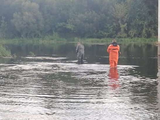 В Ливнах с моста спрыгнул пенсионер и утонул
