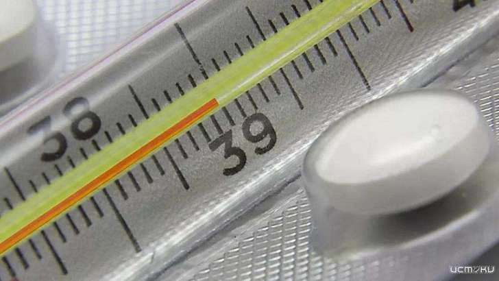 Заболеваемость ОРВИ на Орловщине снизилась более чем на 20 %