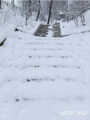 Сюрреализмом на ступенях назвали орловчане стиль уборки снега в Городском парке культуры и отдыха