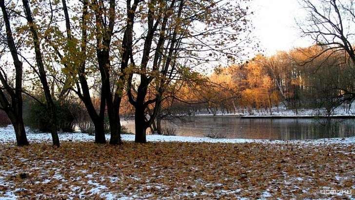 Сегодня в Орле будет холодно и снежно