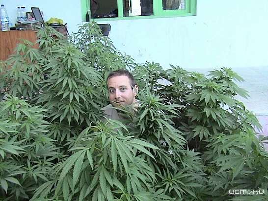 В Кромах поймали орловского наркомана с травой