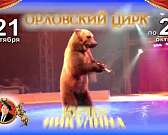 Легендарный цирк Юрия Никулина в Орле!