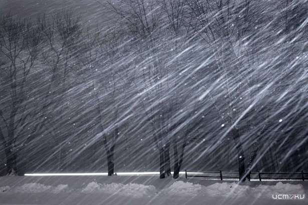 Температурные "качели", снег и дождь. Прогноз погоды до конца ноября