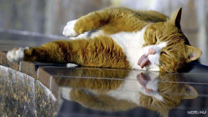 Орловчан ждет знойный вторник: погода на 16 июня