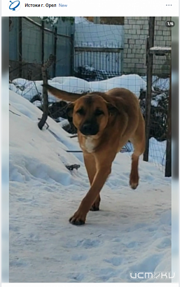 Найден новый победитель конкурса "Народный корреспондент"