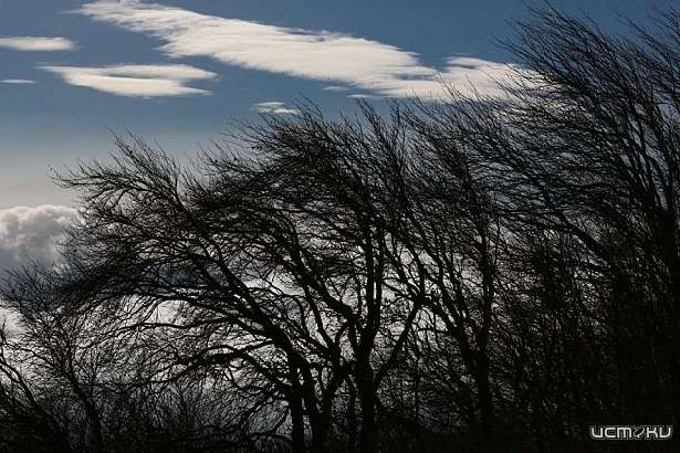 Разгуляется непогода: на Орловщине объявлено метеопредупреждение Разгуляется непогода: на Орловщине объявлено метеопредупреждение