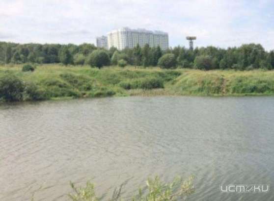 В пруду «Силикатный» утонул мужчина