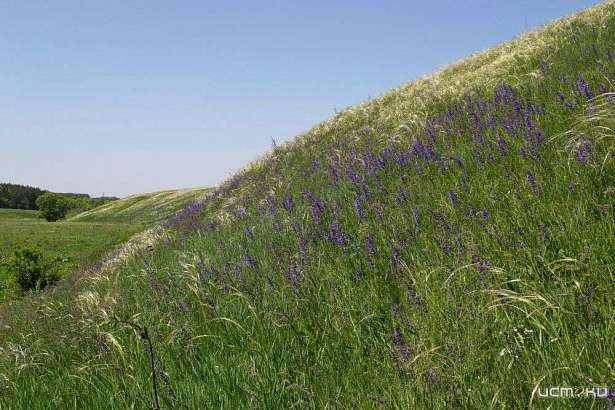 В Орле Балка Непрец объявлена памятником природы 