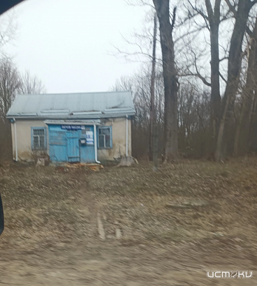 Найден обладатель макси-пиццы и билетов в кино от орловского медиахолдинга Истоки ! 