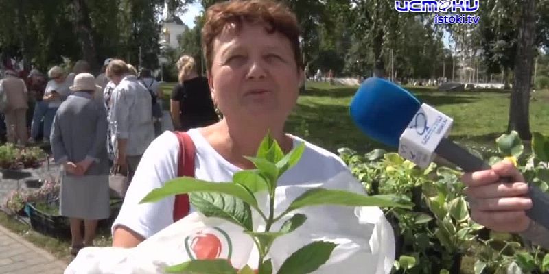 Буйство цветов и красок1723022047