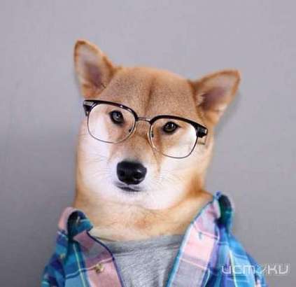 Полная программа МумуFest