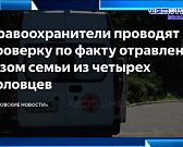 Экспресс-новости: Новогодняя ярмарка официально начала свою работу, прокуратура проверит факт отравления семьи орловчан газом, а в детском саду обнару... Экспресс-новости: Новогодняя ярмарка официально начала свою работу, прокуратура проверит факт отравления семьи орловчан газом, а в детском саду обнару...