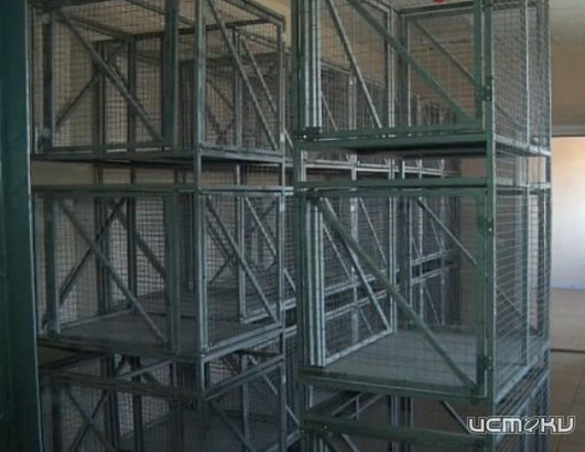 Про приют для собак упомянул мэр Орла в своем докладе о проделанной работе