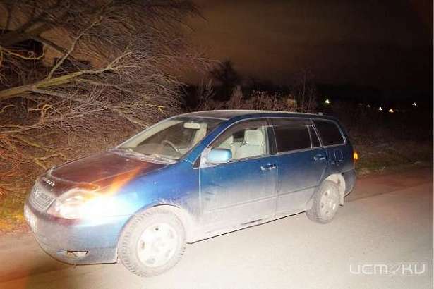 На Орловщине «Toyota Corolla» сбила пешехода