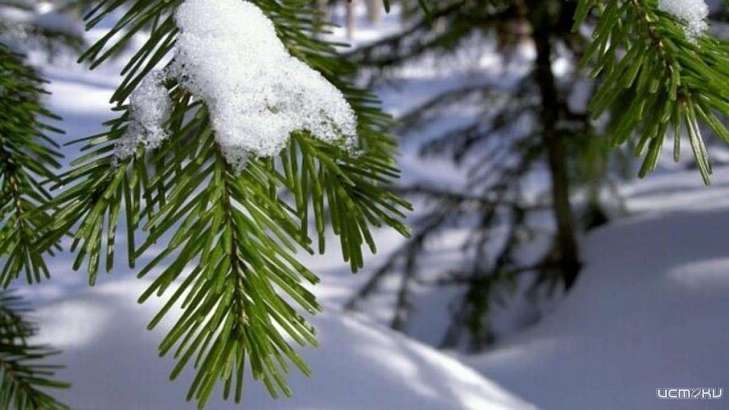 Второй день 2020 года в Орле будет пасмурным и морозным