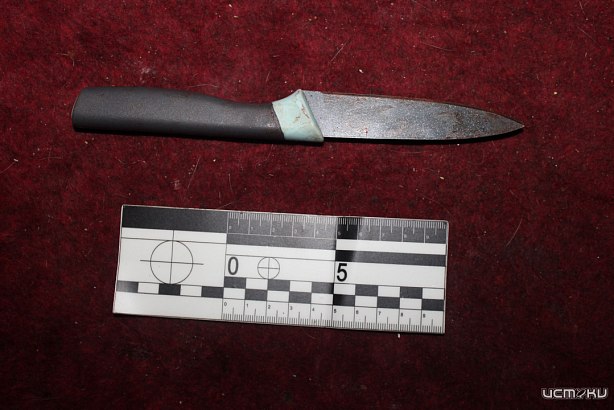 Во Мценске мигрант осужден за убийство знакомого 