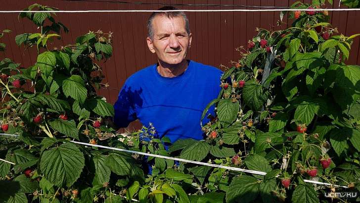 Вдовин не заметил социальной дистанции в переполненной орловской маршрутке
