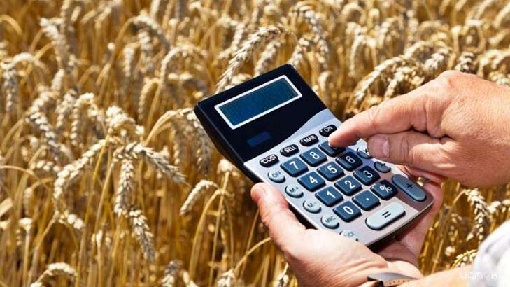 Орловские сельхозпроизводители получат господдержку