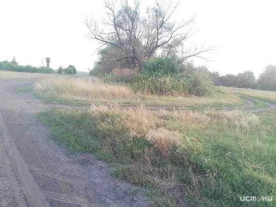 В Колпнянском районе столкнулись иномарка и «КАМАЗ». Один человек пострадал