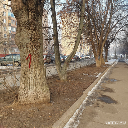 Определили нового народного корреспондента 