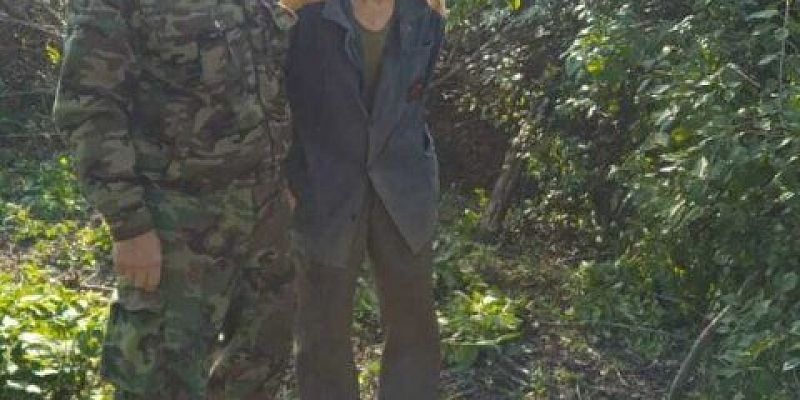 акция Орловчанам предлагают собирать желуди, чтобы сохранить лес