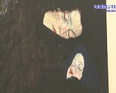 В музее ИЗО проходит выставка знаменитого австрийского художника