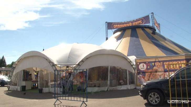 Обосновался на пять лет как минимум: в Орле начал работу стационарный цирк
