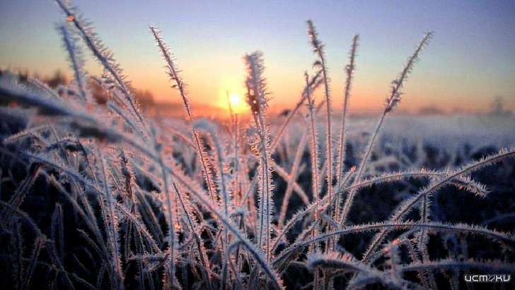 Станет еще холоднее: синоптики пообещали орловчанам заморозки 