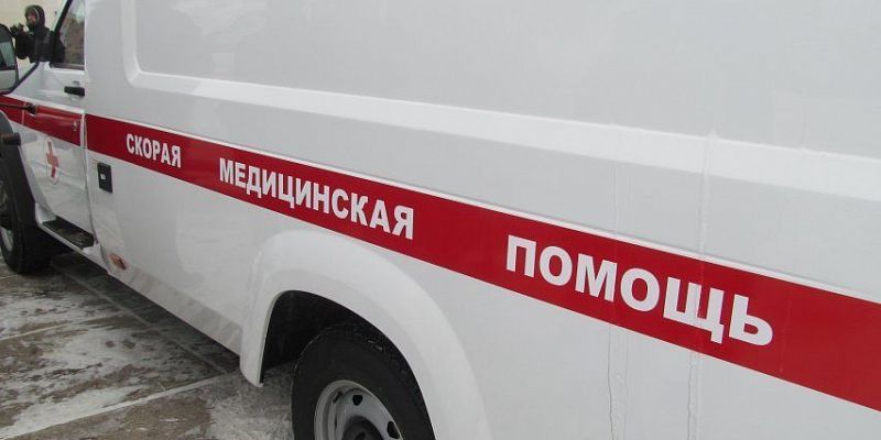 В Орловской области в ДТП с лосем пострадали два человека