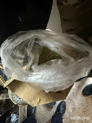 В Колпнянском районе у местного жителя изъяли около 17 граммов марихуаны