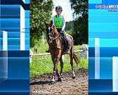 Хорошая лошадь слушается даже тени всадника (с)