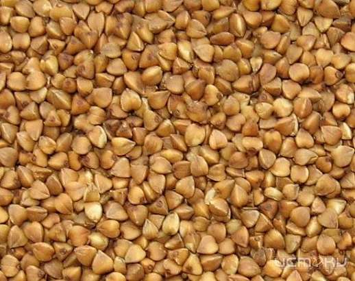 Орловская область на втором месте по сбору гречихи