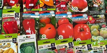 Россельхознадзор выявил продажу "нелегальных" семян в орловском интернет-магазине
