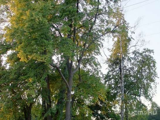Камешковский и Киржачский районы - великолепные места Владимирской области