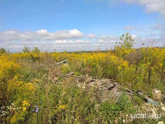 Возле Образцово никак не могут убрать двухкилометровую свалку