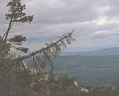 Орловская художница Вера Демичева краски и холсты сменила на фотоаппарат