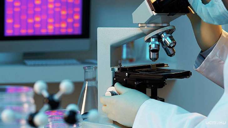 В Орловской области потратили на науку более 500 млн рублей